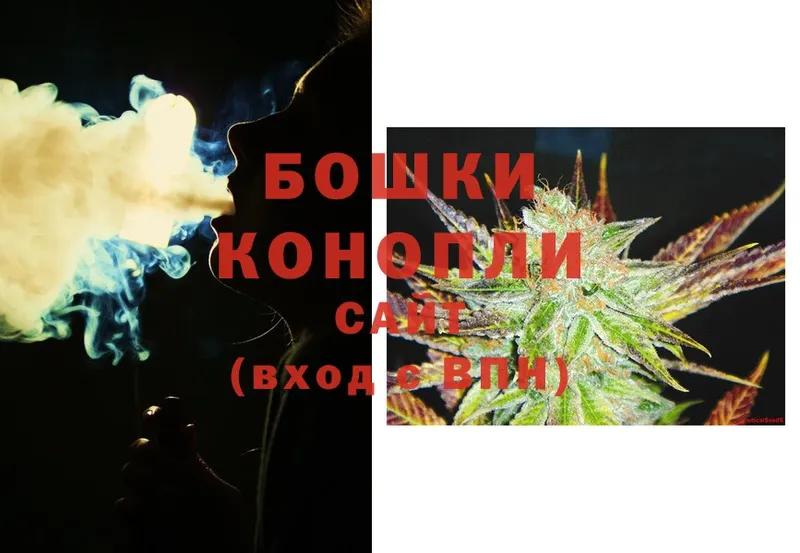 Канабис OG Kush  Приволжск 